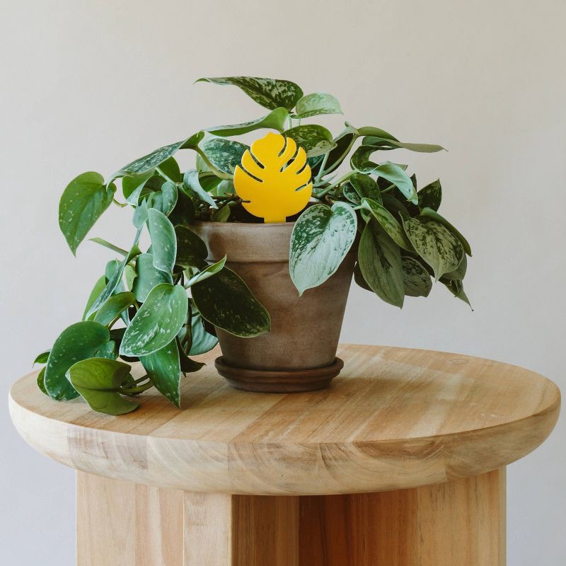 slide 3 of 8, Arber 16pk Houseplant Sticky Insect Traps, 16 ct