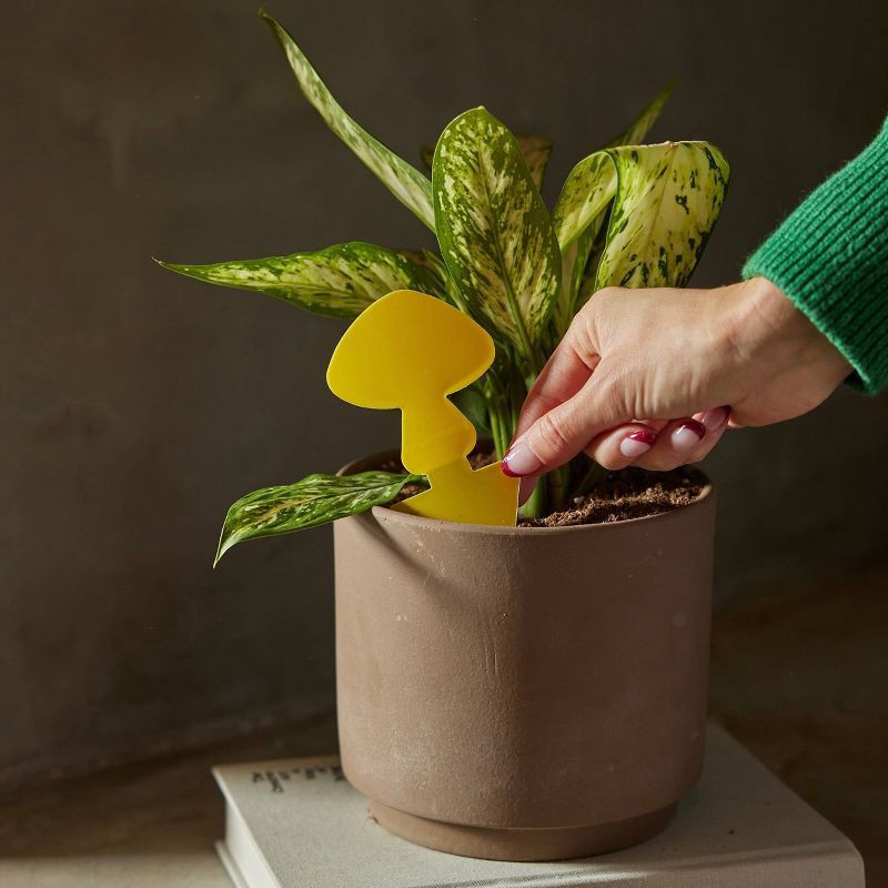 slide 5 of 8, Arber 16pk Houseplant Sticky Insect Traps, 16 ct