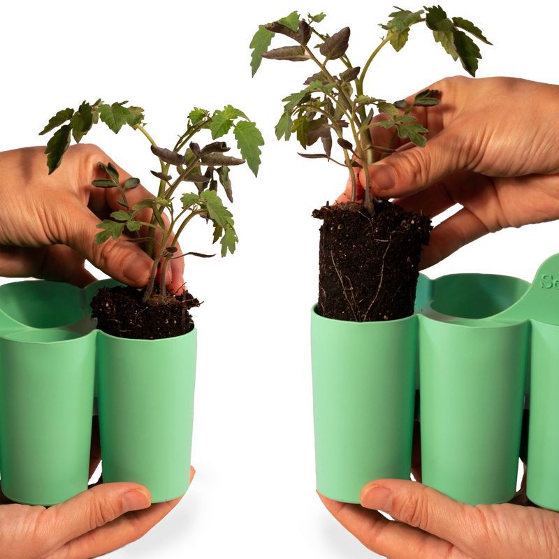 slide 7 of 7, Sili-Seedlings 2pk 10 cell Seed Starter Silicone Outdoor Planter Jade Green, 2 ct