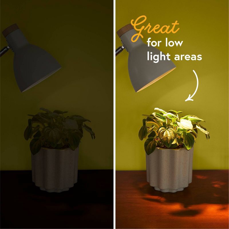 slide 3 of 6, WE THE WILD 11W LED Instant Sun Grow Bulb Black, 1 ct