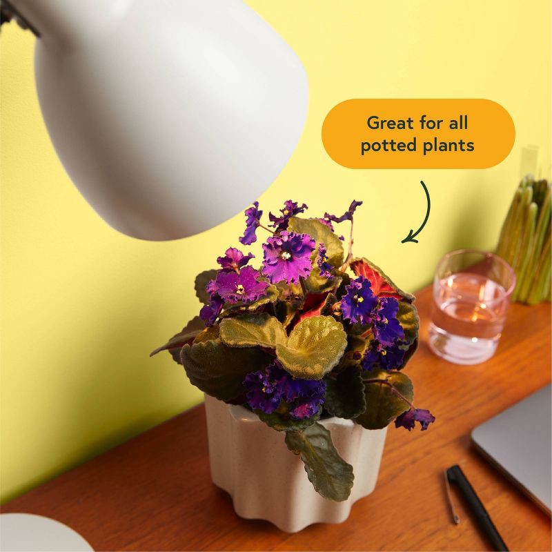 slide 5 of 6, WE THE WILD 11W LED Instant Sun Grow Bulb Black, 1 ct