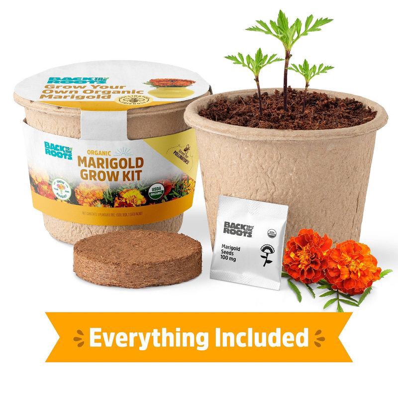 slide 2 of 10, Back to the Roots Organic Marigold Flower Grow Kit with Plantable Starting Pot Soil and Seeds, 1 ct