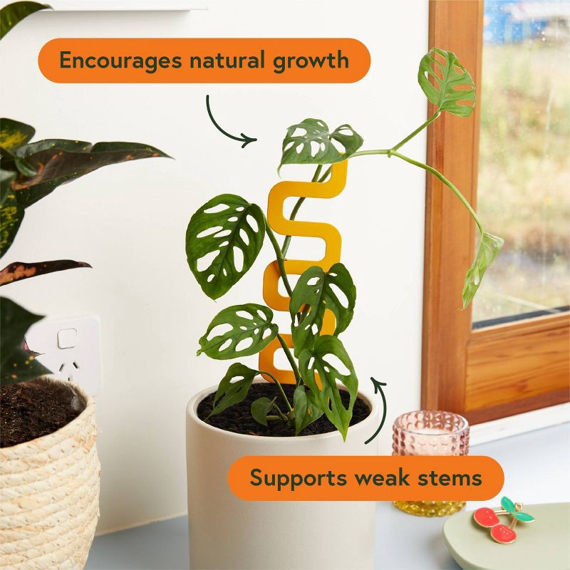 slide 2 of 4, WE THE WILD Small Houseplant Grow Pole Powder Coated Steel, 1 ct