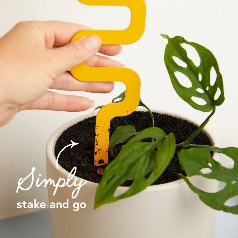 slide 3 of 4, WE THE WILD Small Houseplant Grow Pole Powder Coated Steel, 1 ct