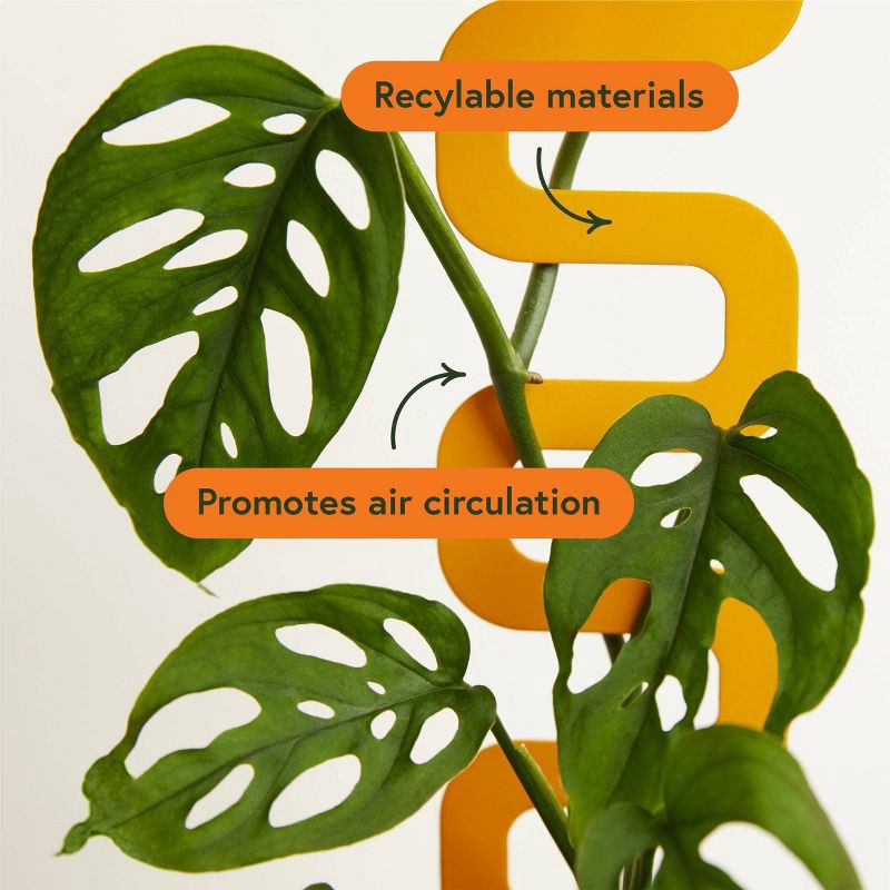 slide 4 of 4, WE THE WILD Small Houseplant Grow Pole Powder Coated Steel, 1 ct