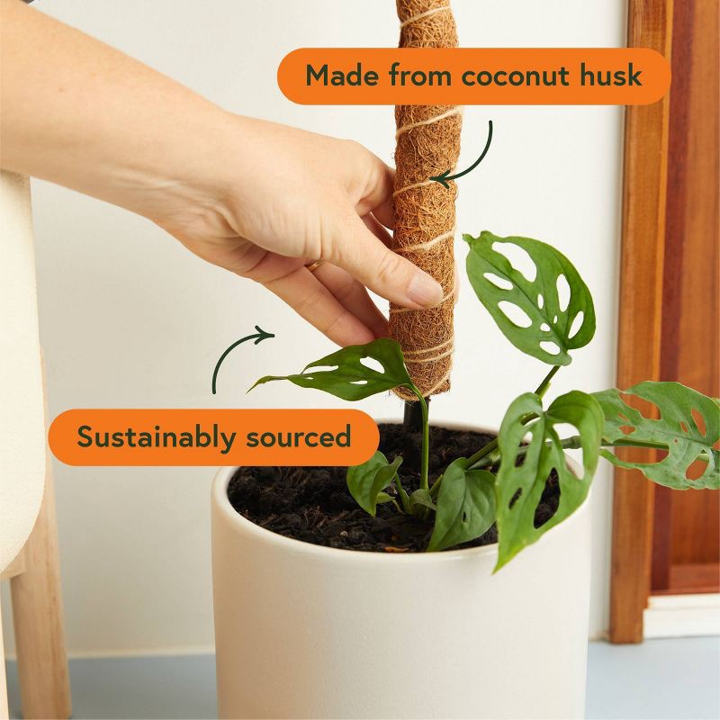 slide 3 of 4, WE THE WILD Houseplant Sustainable Moss Pole Coco Climber Wood, 1 ct