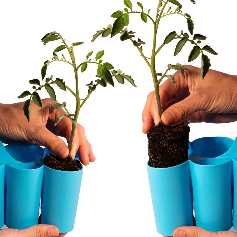 slide 7 of 7, Sili-Seedlings 2pk 10 cell Seed Starter Silicone Outdoor Planter Opal Blue, 2 ct