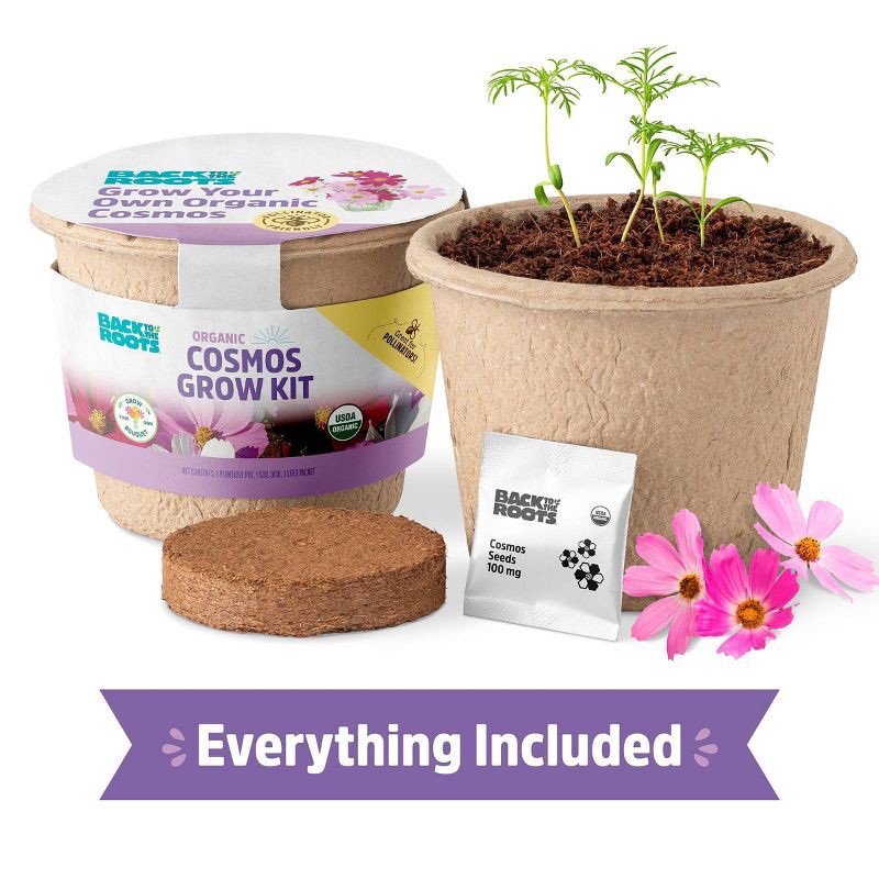 slide 2 of 10, Back to the Roots Organic Cosmos Flower Grow Kit with Plantable Starting Pot Soil and Seeds, 1 ct