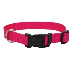 Coastal Adjustable Dog Collar with Plastic Buckle, Pink Flamingo, Large - 1" x 18"-26"