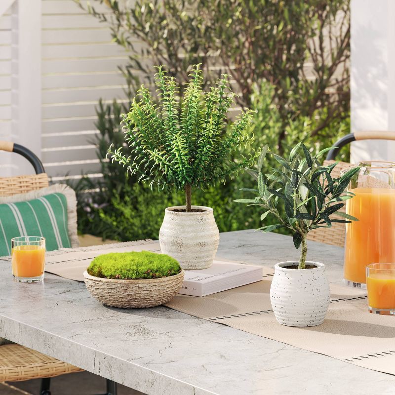 slide 2 of 4, Threshold designed w/Studio McGee 12" Olive Artificial Plant - Threshold™ designed with Studio McGee, 1 ct