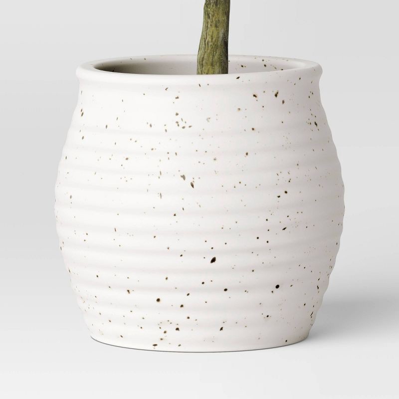 slide 4 of 4, Threshold designed w/Studio McGee 12" Olive Artificial Plant - Threshold™ designed with Studio McGee, 1 ct