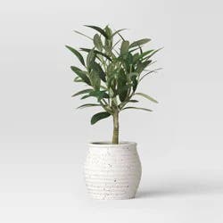 Threshold designed w/Studio McGee 12" Small Artificial Potted Olive - Threshold™ designed with Studio McGee