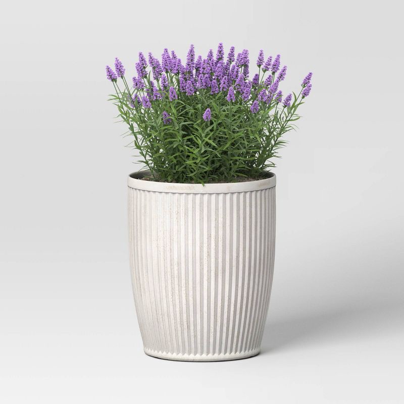 slide 3 of 4, Threshold designed w/Studio McGee Weathered Ribbed Composite Indoor Outdoor Planter Pot 15"x15"x18" Off-White - Threshold™ designed with Studio McGee, 1 ct