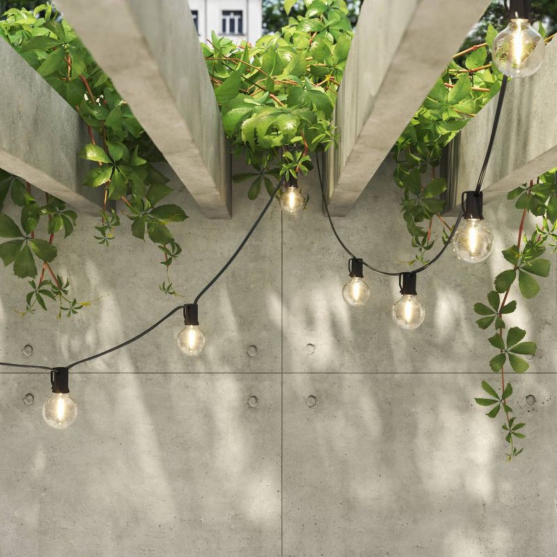 slide 2 of 4, 20ct LED Indoor Outdoor Globe String Lights Clear Bulbs with Black Wire - Room Essentials™, 20 ct