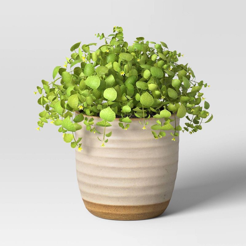 slide 3 of 4, Split Glaze Ceramic Outdoor Planter Pot 8.15"x8.15" White - Threshold™, 1 ct