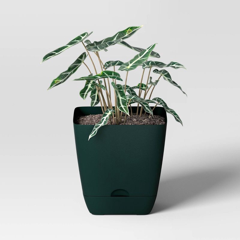 slide 3 of 4, Square Self-Watering Plastic Indoor Outdoor Planter Pot Green 6"x6" - Room Essentials™, 1 ct