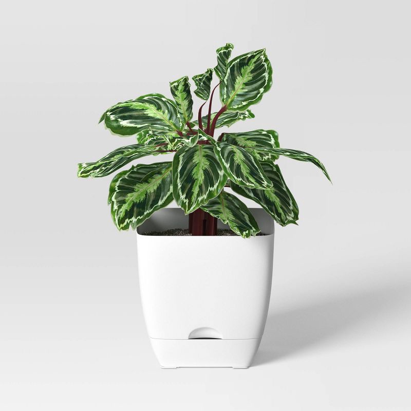 slide 3 of 4, Square Self-Watering Plastic Indoor Outdoor Planter Pot White 10"x10" - Room Essentials™, 1 ct