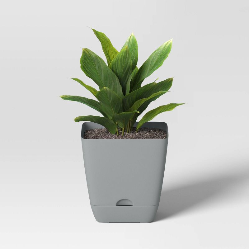 slide 3 of 4, Square Self-Watering Plastic Indoor Outdoor Planter Pot Gray 6"x6" - Room Essentials™, 1 ct