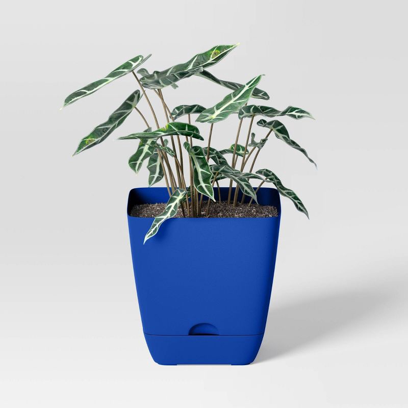slide 3 of 4, Square Self-Watering Plastic Indoor Outdoor Planter Pot Blue 6"x6" - Room Essentials™, 1 ct