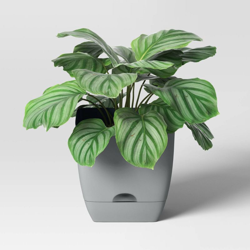 slide 3 of 4, Square Self-Watering Plastic Indoor Outdoor Planter Pot Gray 10"x10" - Room Essentials™, 1 ct