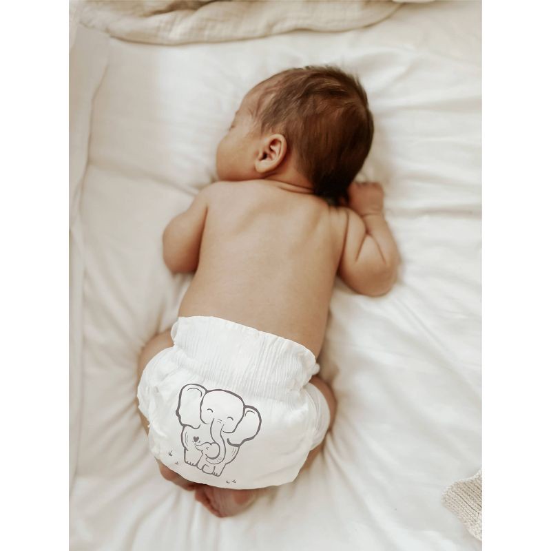 slide 11 of 11, Parasol Chlorine-Free Diapers with RashShield Protection - Size 1 - 88ct, 1 x 88 ct