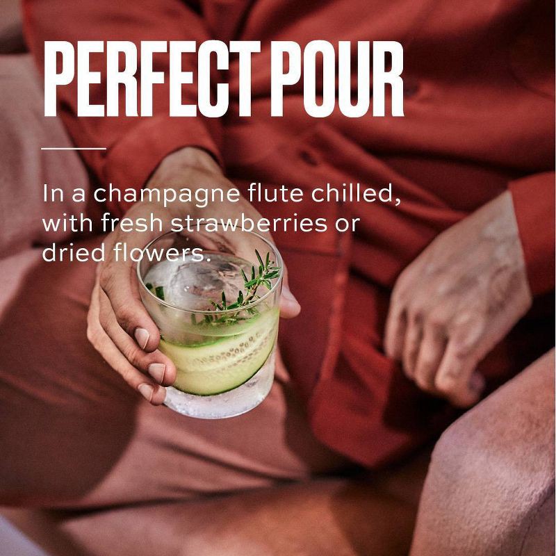 slide 6 of 7, Free AF Non-Alcoholic Cucumber G&T - 4pk/8.4 fl oz Cans, 4 ct; 8.4 fl oz