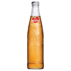 Sidral Mundet Apple Soda 12 fl oz
