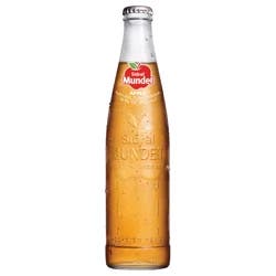 Sidral Mundet Apple Soda 12 fl oz
