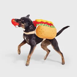 Hot Dog Full Body Halloween Dog Costume with Ketchup Toy - M - Boots & Barkley™