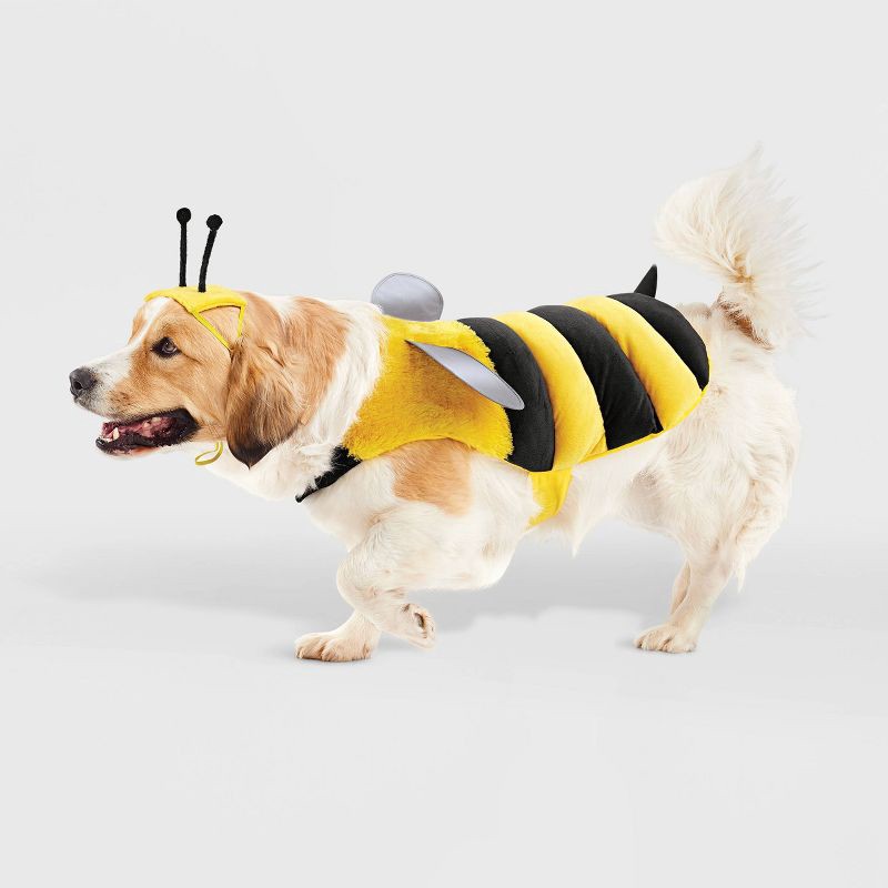 slide 1 of 5, Bee with Reflective Wings Full Body Halloween Dog Costume - L - Boots & Barkley™, LG