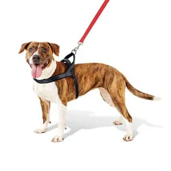 No Pull Comfort Dog Harness - L - Boots & Barkley™