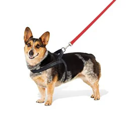 No Pull Comfort Dog Harness - M - Boots & Barkley™: Nylon Material, Buckle Closure, For Dogs 26-50 lbs