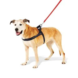 No Pull Comfort Dog Harness - XL - Boots & Barkley™