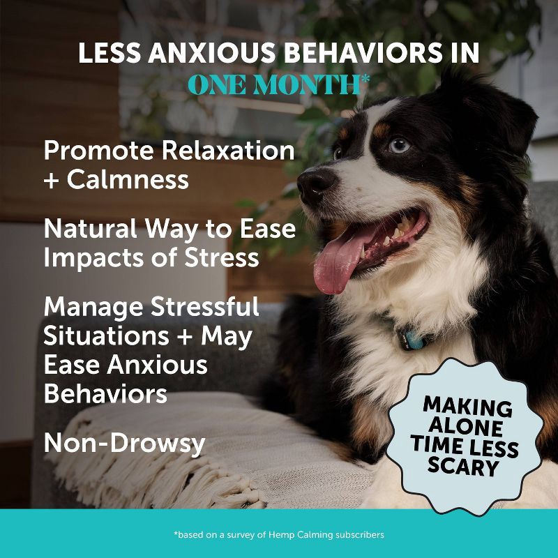 slide 3 of 10, Pet Honesty Hemp Calming Chicken Flavor Supplement for Dog - 60ct, 60 ct