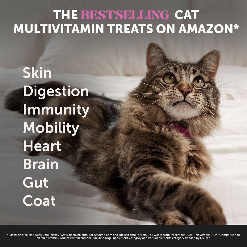 slide 3 of 11, Pet Honesty Multivitamin Supplement for Cat Chicken Flavor - 3.7oz, 3.7 oz