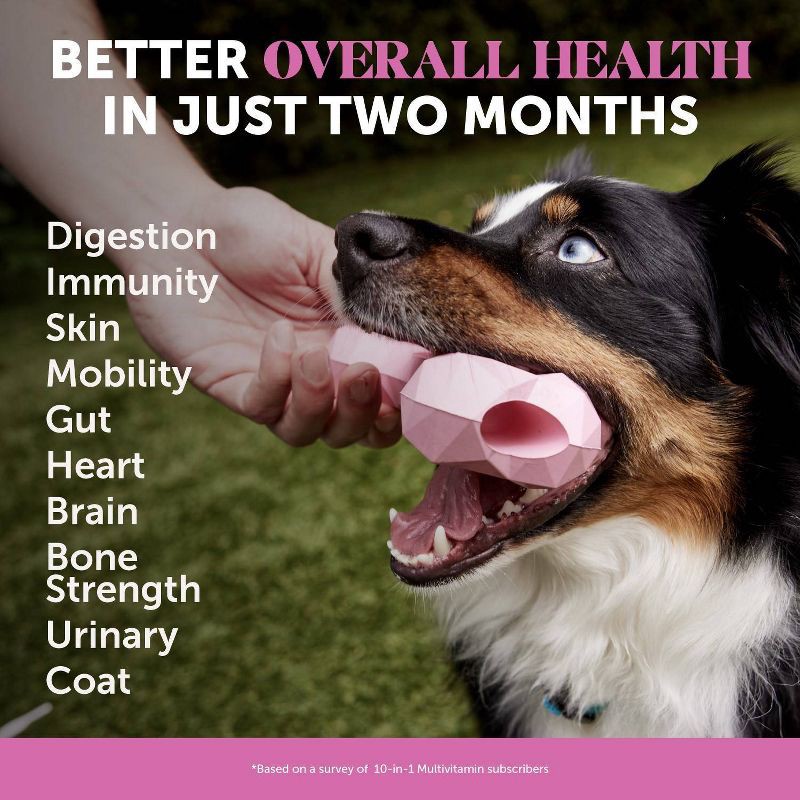 slide 3 of 11, Pet Honesty Multivitamin 10-in-1 Chicken Flavor Supplement for Dog - 60ct, 60 ct