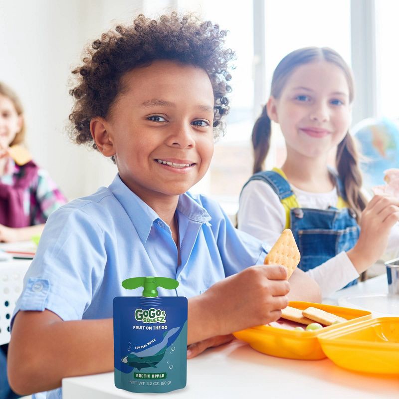 slide 10 of 10, GoGo squeeZ Applesauce and Fruit Puree Discovery Variety Pack, Arctic Apple and Glacier Grape Orange - 3.2oz/20ct, 3.2 oz, 20 ct