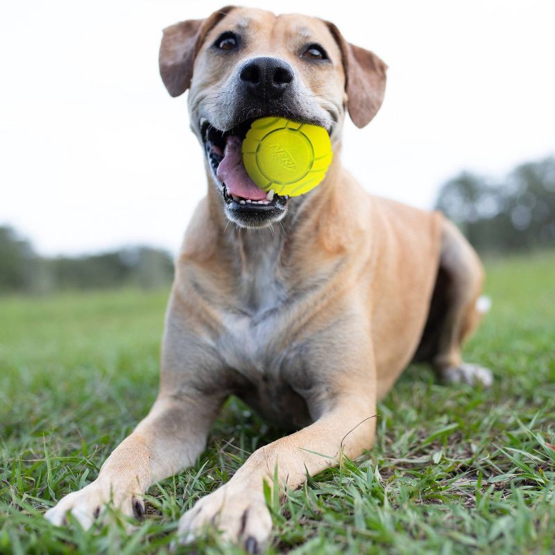 slide 3 of 5, NERF Solid Foam Sonic Dog Ball Toy - 2pk, 2 ct