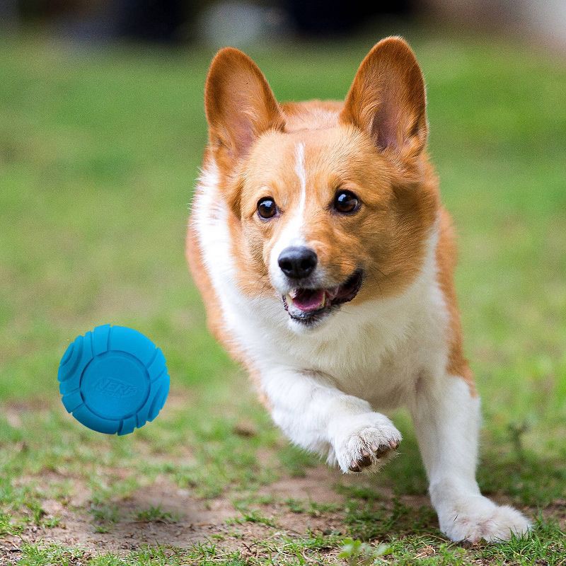 slide 5 of 5, NERF Solid Foam Sonic Dog Ball Toy - 2pk, 2 ct