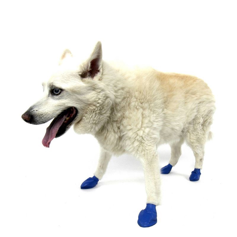 slide 4 of 11, Pawz 12pc Rubber Dog Boots - Blue M, 12 ct