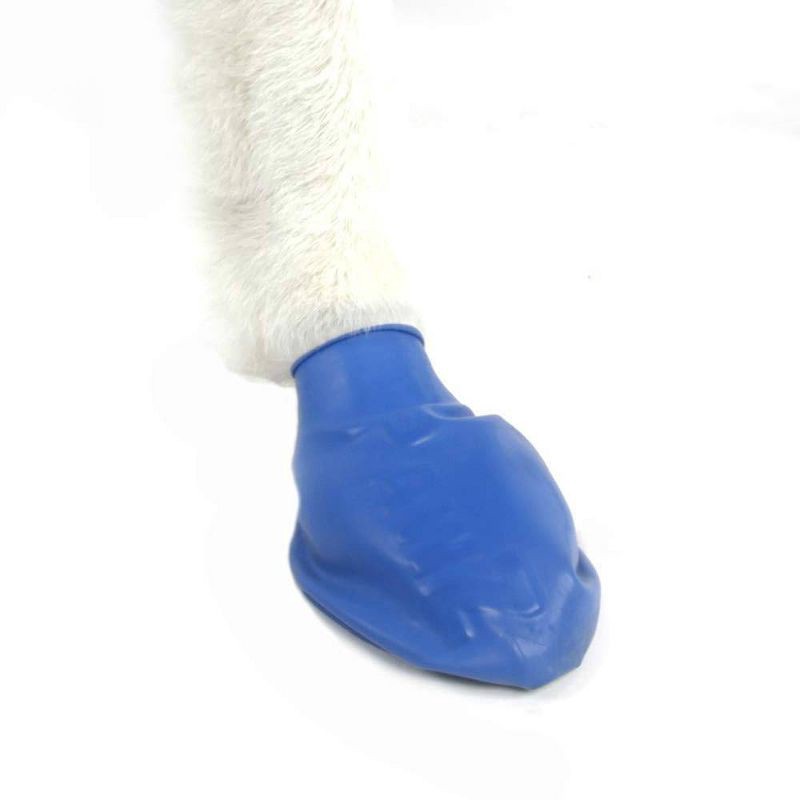 slide 5 of 11, Pawz 12pc Rubber Dog Boots - Blue M, 12 ct