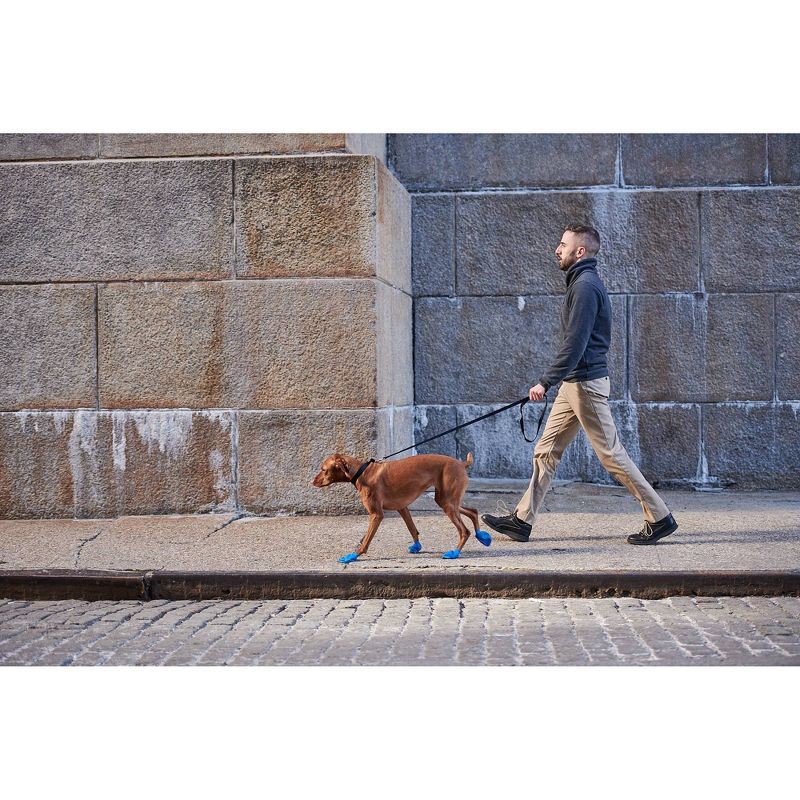 slide 8 of 11, Pawz 12pc Rubber Dog Boots - Blue M, 12 ct