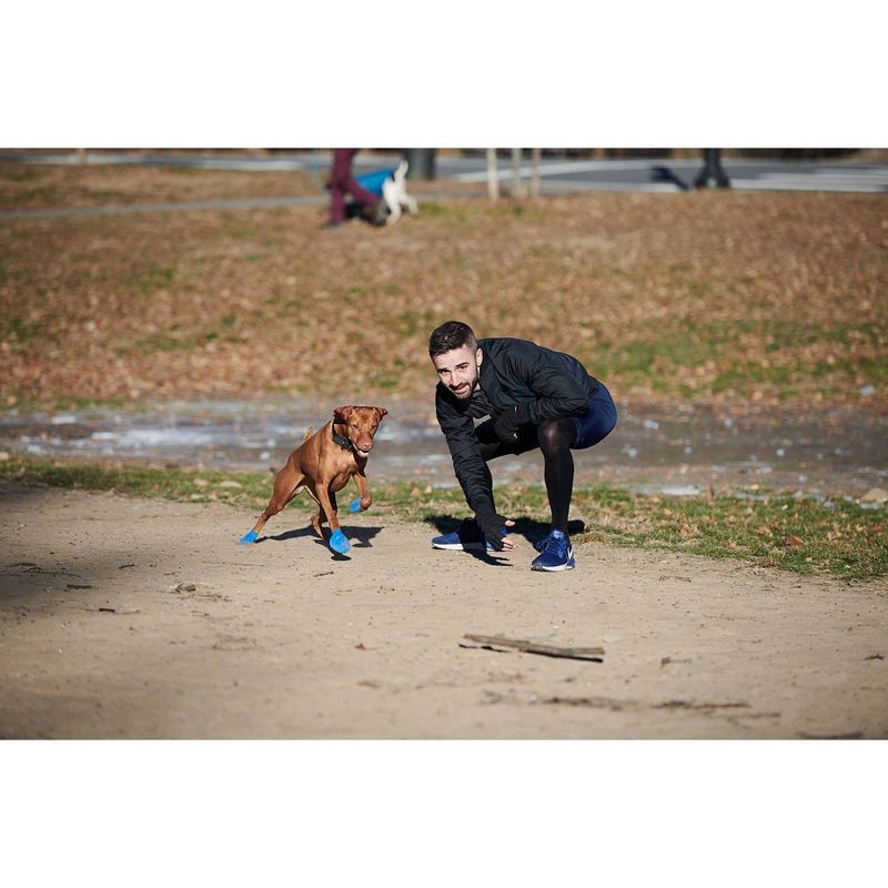 slide 9 of 11, Pawz 12pc Rubber Dog Boots - Blue M, 12 ct
