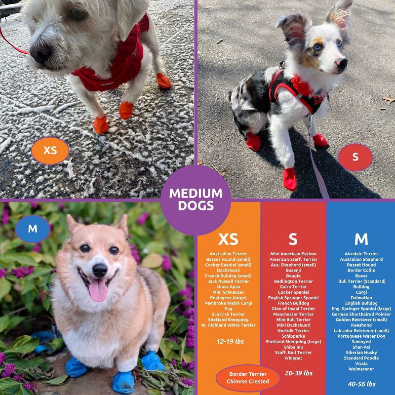 slide 10 of 10, Pawz 12pc Rubber Dog Boots - Orange XS, 12 ct