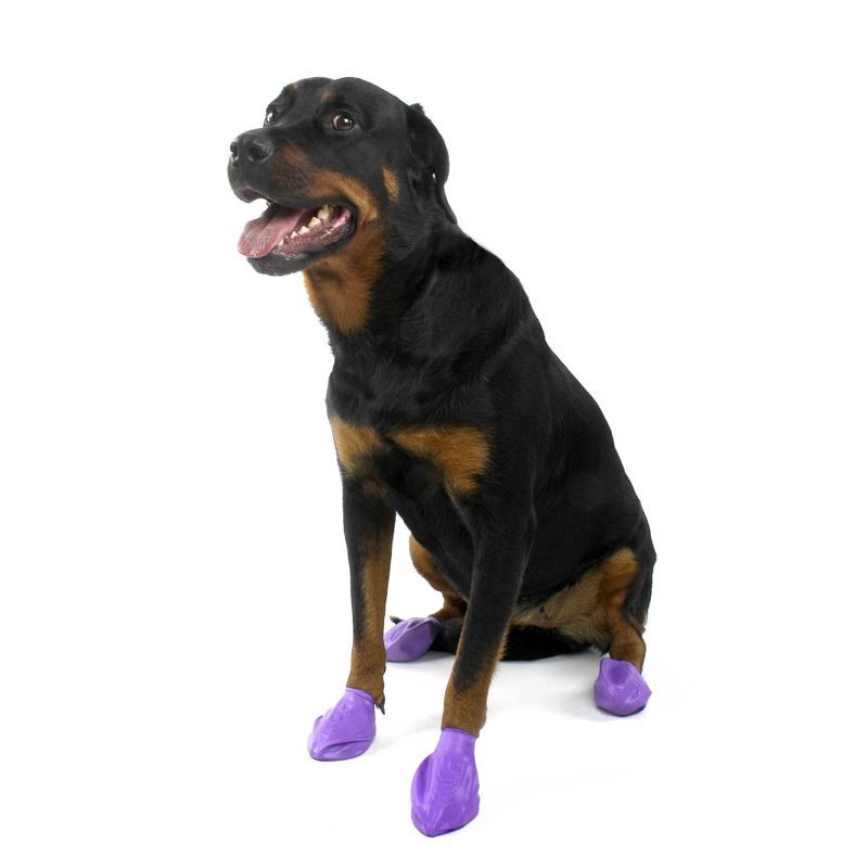 slide 4 of 8, Pawz 12pc Rubber Dog Boots - Purple L, 12 ct