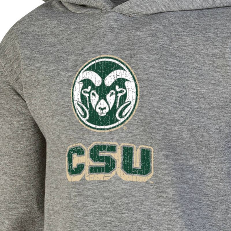 slide 3 of 3, NCAA Colorado State Rams Boys' Gray Hoodie - S: Cotton-Polyester Pullover with Kangaroo Pocket, 1 ct