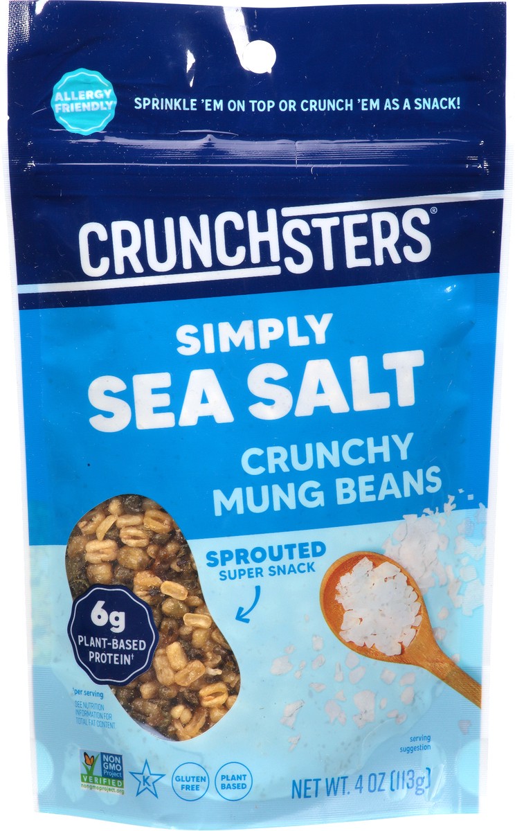 slide 6 of 9, Crunchsters Sea Salt Sprouted Protein Snack, 4 oz