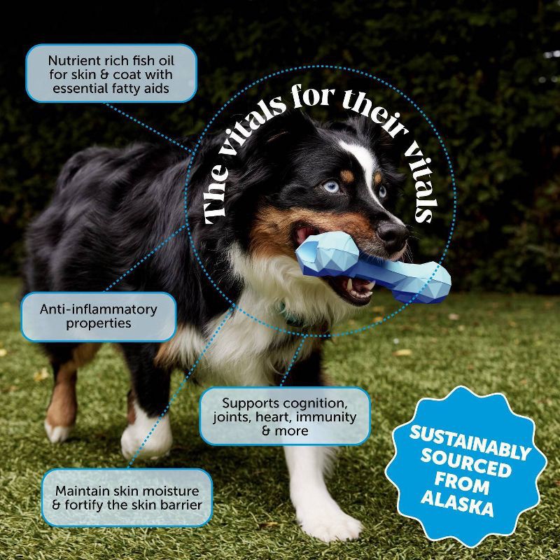 slide 4 of 10, Pet Honesty Omega 3 Salmon Flavor Fish Oil Supplement for Dog and Cat - 16 fl oz, 16 fl oz