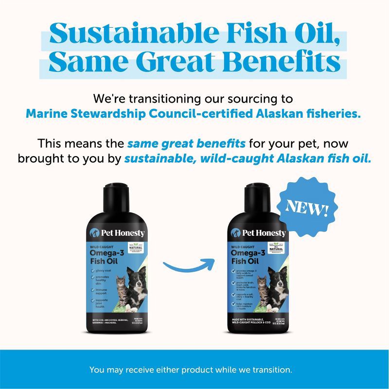 slide 5 of 10, Pet Honesty Omega 3 Salmon Flavor Fish Oil Supplement for Dog and Cat - 16 fl oz, 16 fl oz