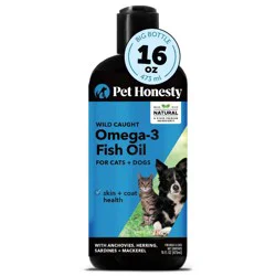 Pet Honesty Omega 3 Salmon Flavor Fish Oil Supplement for Dog and Cat - 16 fl oz
